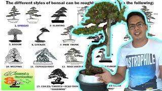 The different Styles of Bonsai Explained Beginners Guide