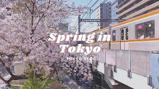 Spring in Tokyo Cherry blossom viewing aesthetic cafes Nakameguro teleworking Tokyo Vlog