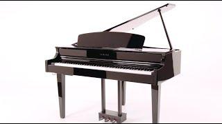 Yamaha Clavinova 665