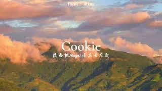 陈志林Mega浦东老农民- Cookie- 想给你买块Cookie 再引起你的注意