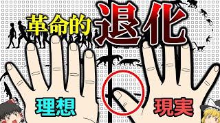 【700万年かけた革命的部位】親指だけ太く短い理由【ゆっくり解説】【雑学】