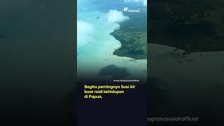 Gara-gara Penculikan dan Gangguan Keamanan 40% Penerbangan Susi Air di Papua Terganggu  Buka Data