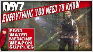 The only DayZ beginners guide youll probably ever need  How to find food medicine etc