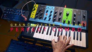 Moog Grandmother & DFAM  A Perfect Combination