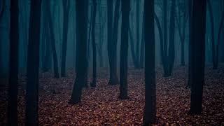 Free Horror Ambiance - Ominous Background Music