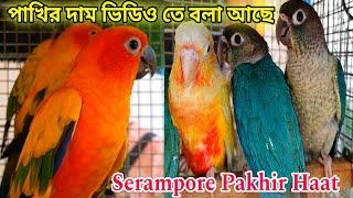 বার্ড মার্কেট শ্রীরামপুরে   Serampore Pet Market Birds Shrirampur Pakhir Haat Birds Price Update