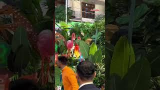 #Ambani Ceremony Features Jungle-Themed Rath  Bollywood Update #desimartini #bollywood