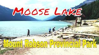 Moose Lake in Mount Robson Provincial Park