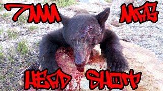 BEAR HUNTING  RUNNING HEADSHOT  7MM REM MAG   