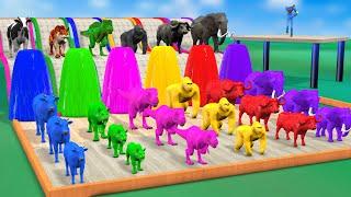 Funny Cartoon Animal DinosaurBuffalo Elephant Tiger Cow choose Right Fountain Crossing Game water