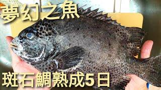 夢幻之魚-石鯛，熟成5日生魚片，5月初崁仔頂漁市購入。Spotted Knifejaw Aged Sashimi.