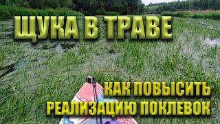 Как повысить реализацию поклевок при ловле щуки в траве