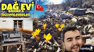 DAĞ EVİNDE DÜZEN DEĞİŞİKLİĞİ ALAN GENİŞLEDİ. BAHAR GÜZELLİĞİ CİGDEMLER HER YERDE. ATEŞTE MENEMEN