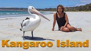 Kangaroo Island  The Best things to see. South Australia.