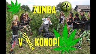 Zumba v konopí -  Swing Aladin - Zumba in cannabis - Ivana Pawlasová