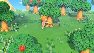 Yuzu Prometheus Animal Crossing New Horizons HD  Nintendo Switch Emulator Gameplay