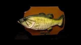 Gemmy Billy Bass  Animatronic Fish Singing Dont Worry be happy.wmv