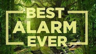 Best Alarm Ever - wake up gently with nature