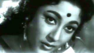 रंग दिल की धड़कन भी लाती तो होगी_ Patang_MalaSinha&Rajendr Kumar_ Lata_Rajinder_ Chitragupt_a tribute