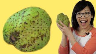 SOURSOP Fruit  Fruity Fruit Taste Test