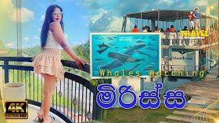 තල්මස්සු බලන්න ගිය ගමන  Whales Watching in Mirissa  Vlog 20.2  Travel With Husband