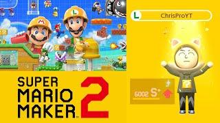 The Journey To Pink S+ in Super Mario Maker 2