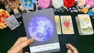 Will You Clear Your ExamTarot Reading You will be successful in your life Timeless