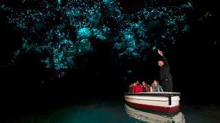 Discover Waitomo Glowworm Caves  New Zealand