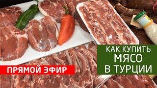 Прямой эфир Как купить мясо в Турции