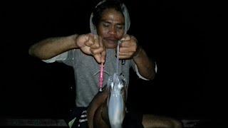 Warna Squid Jig Yang Cocok Di Pakai Saat Cahaya Bulan Terang Dan Remang-remang-Angler Cumi