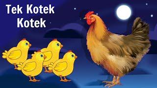 Tek kotek Kotek  Lagu Anak Indonesia  Animasi Ayam