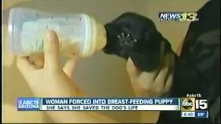 WEIRD STORY Woman breastfeeds puppy