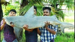 50 Kg SHARK FISH RECIPE  Shark Fish Curry  Cooking Skill Village Food Channel