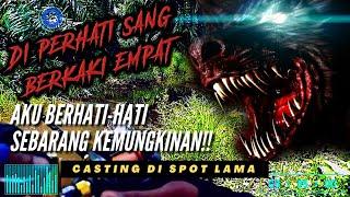 Casting Haruan di Ladang Sawit Di Perhati Sang Berkaki EMPAT