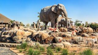 ЗООпарк в Дубае Dubai Safari Park. Кормление жирафов. Сафари.