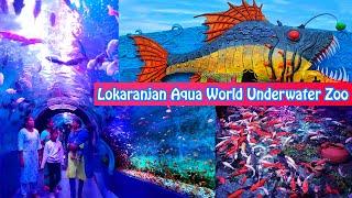 Mysore aquarium tunnel lokaranjan aqua world mysore  Mysore-ல் இப்படி ஒரு underwater fish aquarium