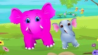Baby Elephant Song  Nursery Rhymes And Songs For Children