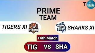 TIG VS SHA Fantasy Dream11 Prediction TIG VS SHA 2024 TIG VS SHA PONDICHERRY MENS T20 match Today