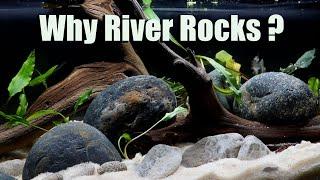 A Whole Bunch of Reasons You Should Be Using River Rocks in Your Aquarium