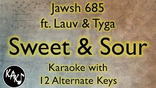 Sweet & Sour Karaoke - Jawsh 685 ft. Lauv & Tyga Instrumental Lower Higher Female Original Key