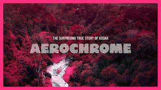The Surprising True Story of Kodak Aerochrome  Part One