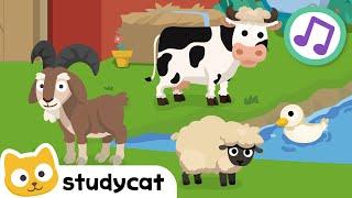 Animales Coloridos  Colorful Animals  Canciones para Niños  Aprender Inglés  Studycat