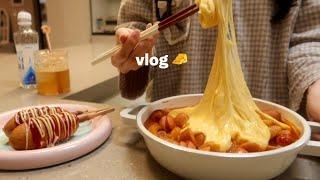 24hours Vlog of home-lover Home alone party making cheese tteokbokki after work with lunchbox
