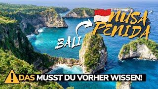 VORSICHT in NUSA PENIDA WARNUNG + Reisetipps für Bali Urlaub  Kelingking Beach Manta Point