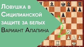 Ловушка в Сицилианской защите за белых. Вариант Алапина