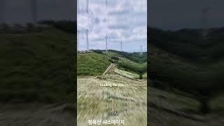 평창 청옥산 샤스데이지