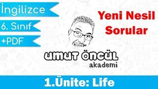 İngilizce  6.Sınıf  1.Ünite  Life  Yeni Nesil Sorular