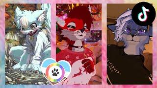 Furry TikToks Compilation #19