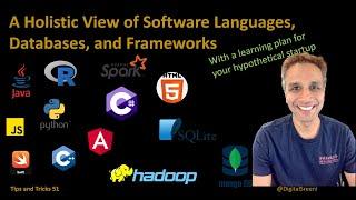 A Holistic View of Software Languages Databases and Frameworks