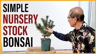 Simple Bonsai Projects for Beginners